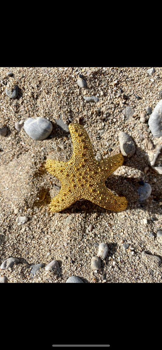 Pulsera Estrella