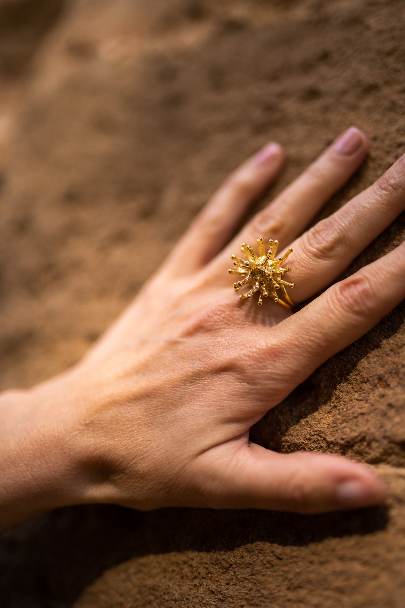 Anillo Pax