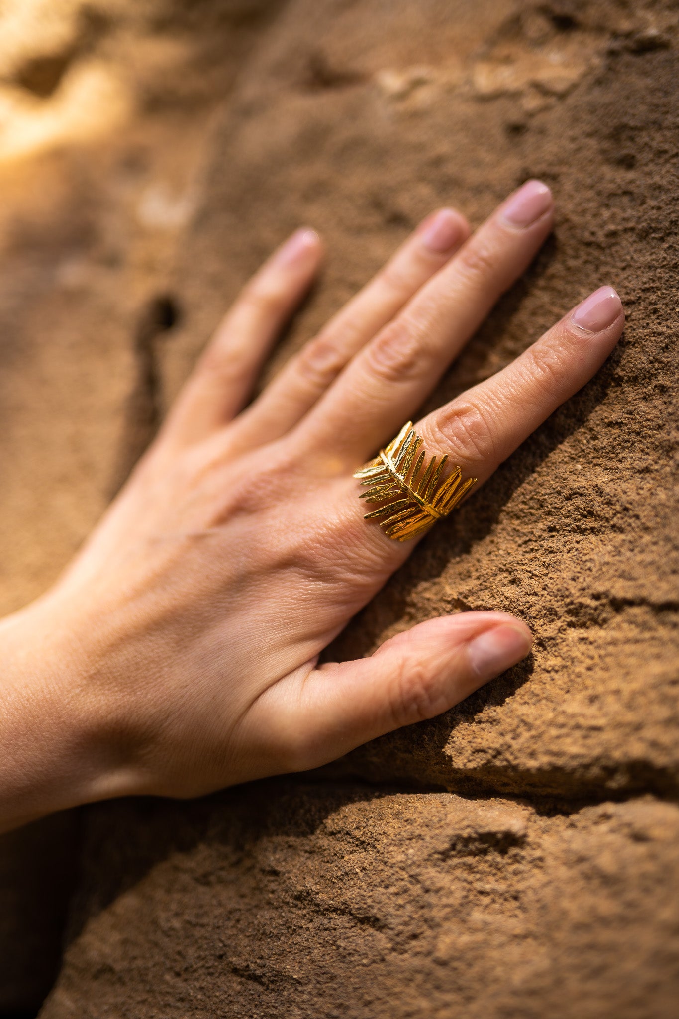 Anillo Ceres